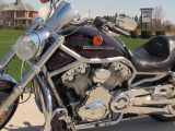 2006 Harley-Davidson V-Rod VRSCA   - Auto Dealer Ontario