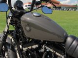 2019 Harley-Davidson XL883N Sportster Iron  - Auto Dealer Ontario