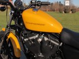 2011 Harley-Davidson XL883N Sportster Iron  - Auto Dealer Ontario