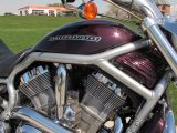 2006 Harley-Davidson V-Rod VRSCA   - Auto Dealer Ontario