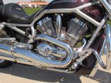 2006 Harley-Davidson V-Rod VRSCA   - Auto Dealer Ontario