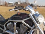 2006 Harley-Davidson V-Rod VRSCA   - Auto Dealer Ontario