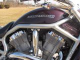 2006 Harley-Davidson V-Rod VRSCA   - Auto Dealer Ontario