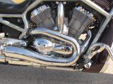 2006 Harley-Davidson V-Rod VRSCA   - Auto Dealer Ontario