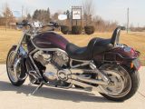 2006 Harley-Davidson V-Rod VRSCA   - Auto Dealer Ontario