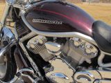 2006 Harley-Davidson V-Rod VRSCA   - Auto Dealer Ontario