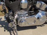 2000 Harley-Davidson Softail Deuce FXSTD  - Auto Dealer Ontario