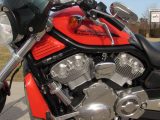 2004 Harley-Davidson V-Rod VRSCB   - Auto Dealer Ontario