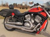 2004 Harley-Davidson V-Rod VRSCB   - Auto Dealer Ontario