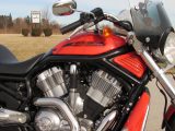 2004 Harley-Davidson V-Rod VRSCB   - Auto Dealer Ontario