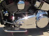 2008 Harley-Davidson Softail Deluxe FLSTN   - Auto Dealer Ontario