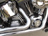 2000 Harley-Davidson Softail Deuce FXSTD  - Auto Dealer Ontario