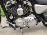 2008 Harley-Davidson XL1200C Custom  - Auto Dealer Ontario