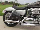 2008 Harley-Davidson XL1200C Custom  - Auto Dealer Ontario