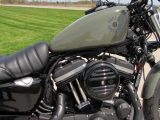 2021 Harley-Davidson XL883N Sportster Iron  - Auto Dealer Ontario