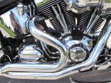 2009 Harley-Davidson Heritage Softail Classic FLSTC   - Auto Dealer Ontario