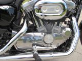 2011 Harley-Davidson XL883L SuperLow  - Auto Dealer Ontario