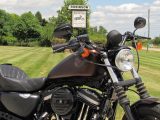 2019 Harley-Davidson XL883N Sportster Iron  - Auto Dealer Ontario