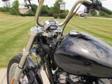 2021 Harley-Davidson Softail Standard FXSTi  - Auto Dealer Ontario