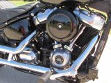 2022 Harley-Davidson Softail FXST   - Auto Dealer Ontario