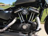 2018 Harley-Davidson XL883N Sportster Iron  - Auto Dealer Ontario