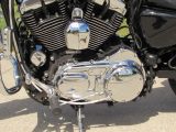 2008 Harley-Davidson XL1200C Custom  - Auto Dealer Ontario