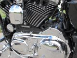 2008 Harley-Davidson XL1200C Custom  - Auto Dealer Ontario