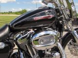 2008 Harley-Davidson XL1200C Custom  - Auto Dealer Ontario