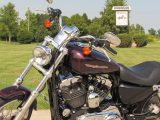 2006 Harley-Davidson XL1200C Custom  - Auto Dealer Ontario