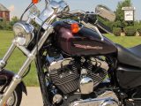 2006 Harley-Davidson XL1200C Custom  - Auto Dealer Ontario