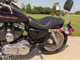 2006 Harley-Davidson XL1200C Custom  - Auto Dealer Ontario