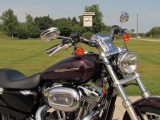 2006 Harley-Davidson XL1200C Custom  - Auto Dealer Ontario