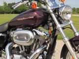 2006 Harley-Davidson XL1200C Custom  - Auto Dealer Ontario