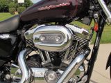2006 Harley-Davidson XL1200C Custom  - Auto Dealer Ontario