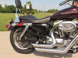 2006 Harley-Davidson XL1200C Custom  - Auto Dealer Ontario