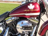 2017 Harley-Davidson Fat Boy FLSTF   - Auto Dealer Ontario