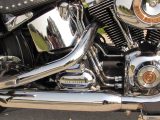 2008 Harley-Davidson Heritage Softail Classic FLSTC   - Auto Dealer Ontario