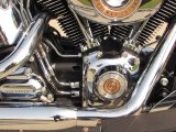 2008 Harley-Davidson Heritage Softail Classic FLSTC   - Auto Dealer Ontario