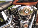 2008 Harley-Davidson Heritage Softail Classic FLSTC   - Auto Dealer Ontario