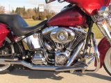 2008 Harley-Davidson Softail Deluxe FLSTN   - Auto Dealer Ontario