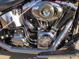 2008 Harley-Davidson Softail Deluxe FLSTN   - Auto Dealer Ontario