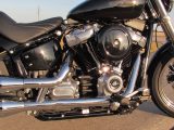 2020 Harley-Davidson Softail FXST   - Auto Dealer Ontario