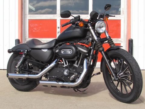 2009 Harley-Davidson XL883  - Sits Low, Easy handling - Sharp Black Denim Paint - 17,000 miles - $29 Week