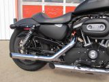 2009 Harley-Davidson XL883  - Auto Dealer Ontario