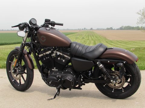 2019 Harley-Davidson XL883N Sportster Iron  - Low 1,700 miles - $2,500 in Extras