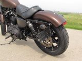 2019 Harley-Davidson XL883N Sportster Iron  - Auto Dealer Ontario