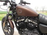 2019 Harley-Davidson XL883N Sportster Iron  - Auto Dealer Ontario