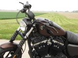 2019 Harley-Davidson XL883N Sportster Iron  - Auto Dealer Ontario