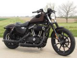 2019 Harley-Davidson XL883N Sportster Iron  - Auto Dealer Ontario