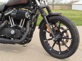 2019 Harley-Davidson XL883N Sportster Iron  - Auto Dealer Ontario